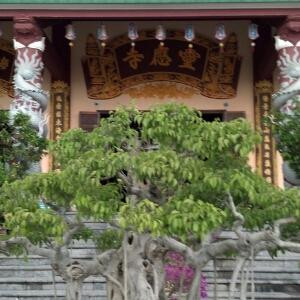 老伢子