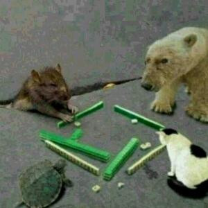 图库里咯啦咯了