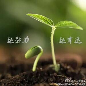 失敬失敬说几句