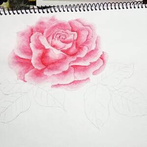 我在这里呀