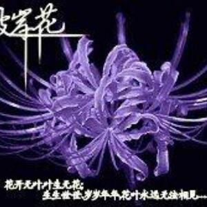 寒玥紫凌