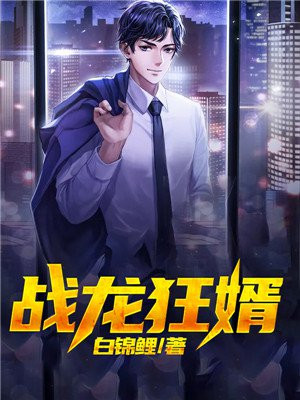 战龙狂婿