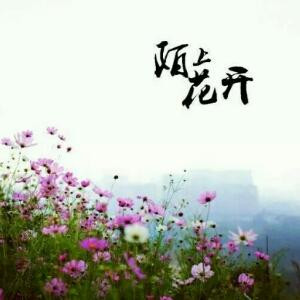 糖小萌