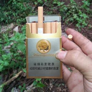 笨鸟慢飞