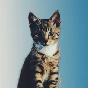 不知明天会怎样