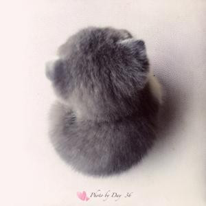 紙飛機的機尾雲