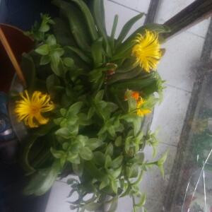 认识的那个夏天