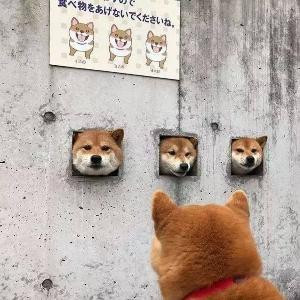 你说过 我信过