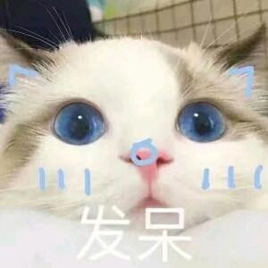 尤桉