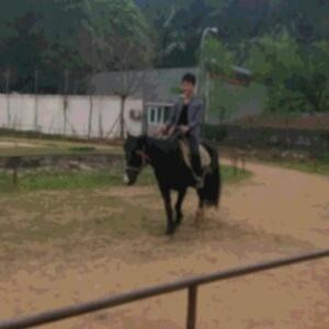王俊