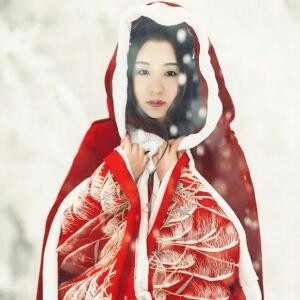 踏雪寻梅