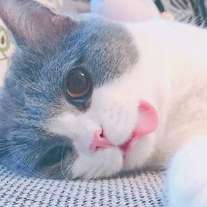 peaches
