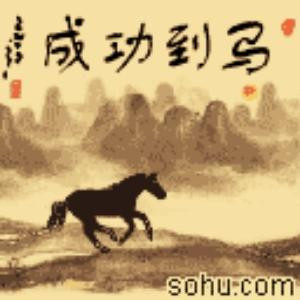 老黄牛