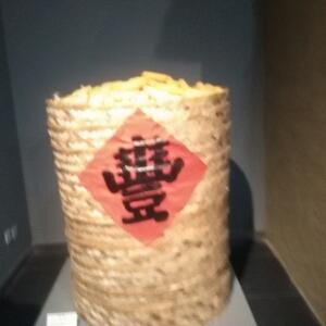 神彩飞扬