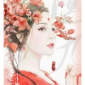 朱雀翎之灵