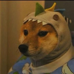 十二