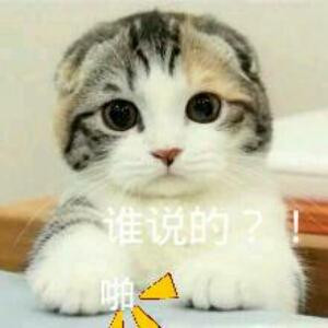 静心