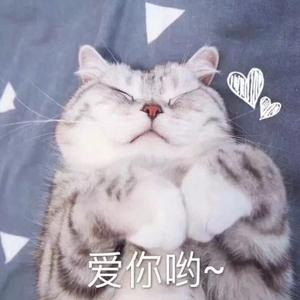 苏社磊
