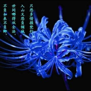 残说残意