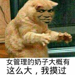 一生跟你走