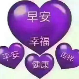 如鱼得水