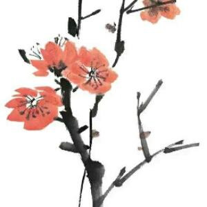 拾圆君