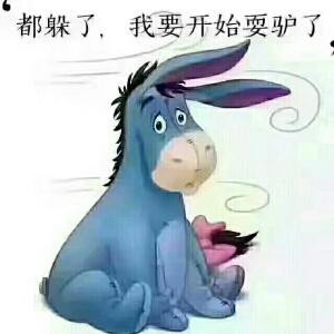 菲雪