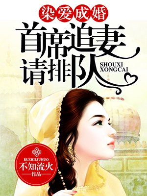 染爱成婚：首席追妻，请排队！