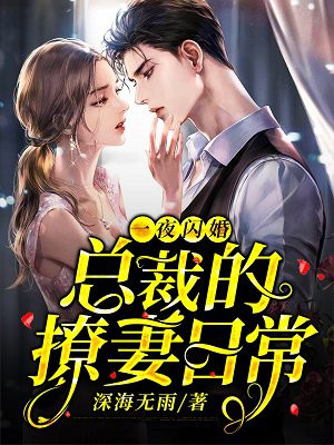 一夜闪婚：总裁的撩妻日常