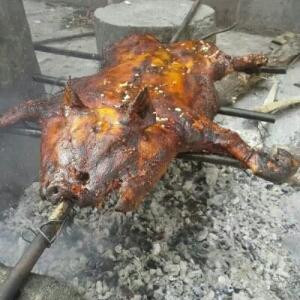 嗨你好