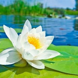 时间如流水