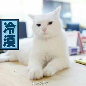 霓洱熊
