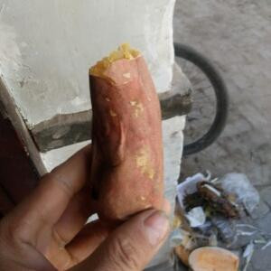 我是书虫