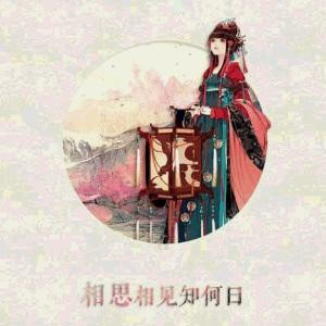 丹丹