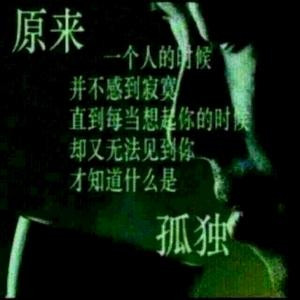 苦丁茶香