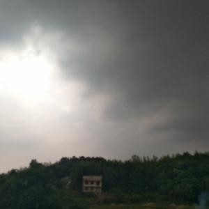 静观己心