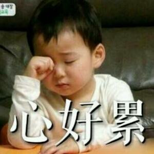 书狂