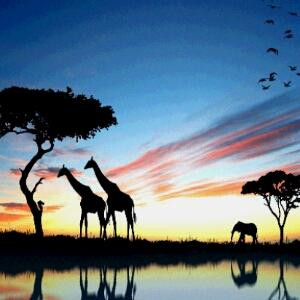 自信的女人最美