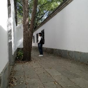 简陶