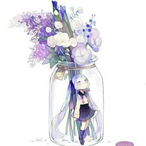 莲汐