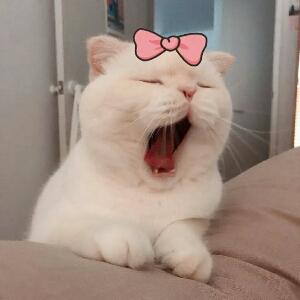 ℡伤城° 폐허