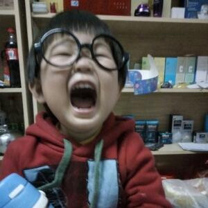 引子待續