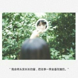 木槿暖年