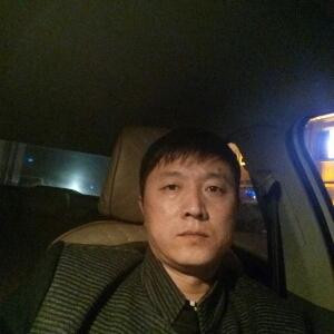 自由如风