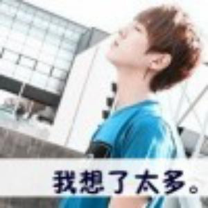 藏麟龙