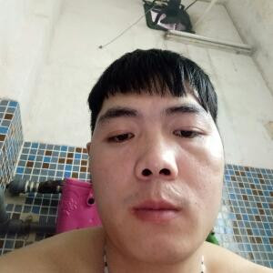 飞