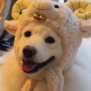 瑾瑾