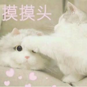 楼绾