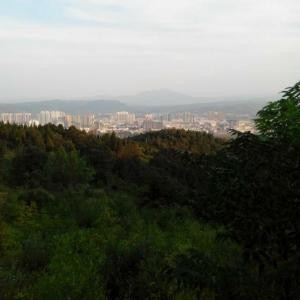shl521
