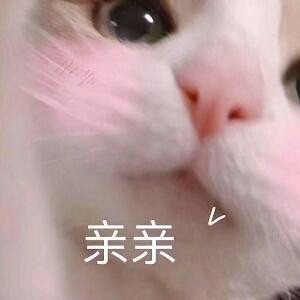 悲觀患者
